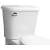 PROFLO Toilet Tank Only - Less Seat